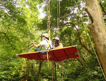210819攀樹體驗-新竹勵馨