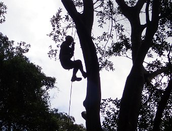 211127親子攀樹體驗-下午場