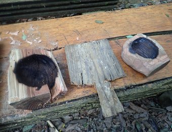 230623風之谷2日野外求生第2天