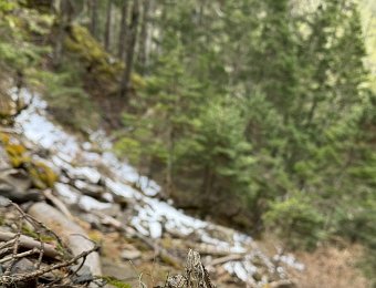 260209雪山4天雪訓